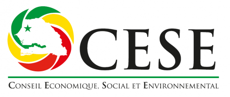  Conseil Economique Social et Environnemental